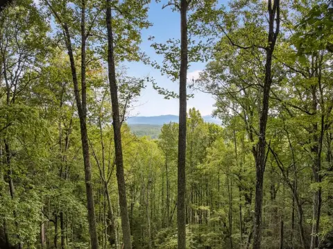 67.47 Acres in Murphy, NC