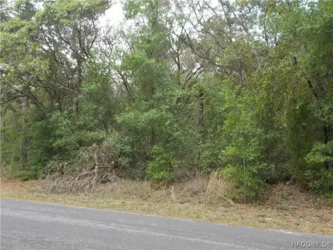 Lecanto, FL Acre Building Lot