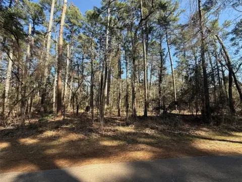 Wooded Land in Gated Community