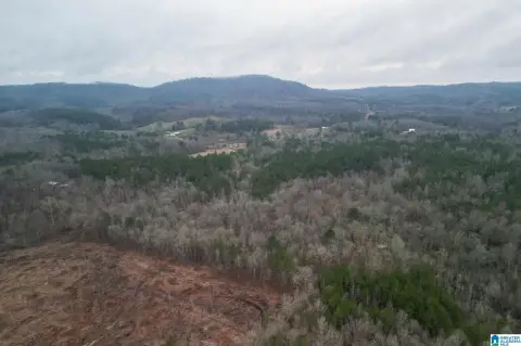 Agricultural Land with Creek and Trees