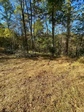 Glenville WV Residential/Hunting Land