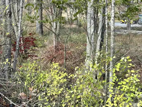 Residential Land in Elkins, WV