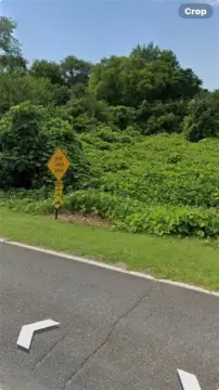 Private Wooded Lot in Macon