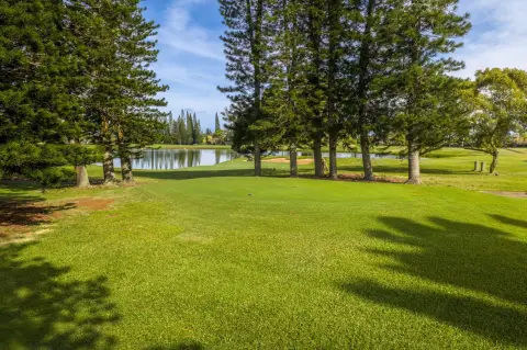 Ready-to-Build Homesite in Princeville