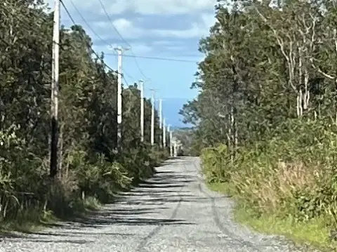 Three Acres in Fern Forest