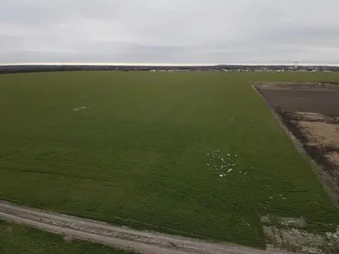 30 Acres of Open Land