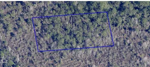 Undeveloped Land in Grant-Valkaria