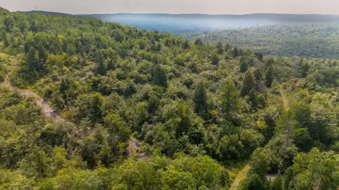 Maine Land with Mountain Views