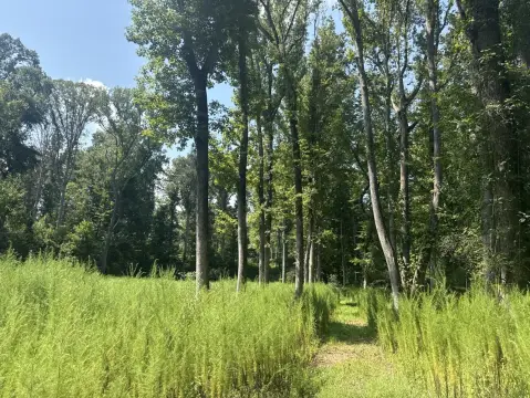 Hunting Land With Creek Systems