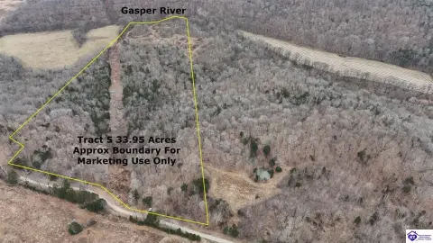 Wooded Hunting Land