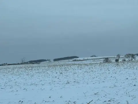 Land Near US Highway 12