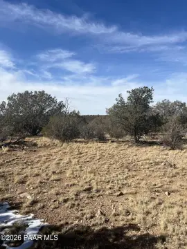 Treed Lot Near Clubhouse