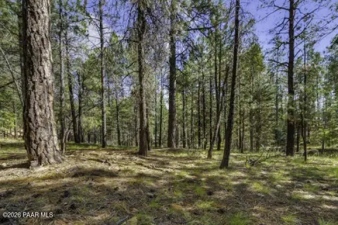Land with High-Producing Well