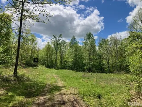 Wooded Land Bordering National Forest