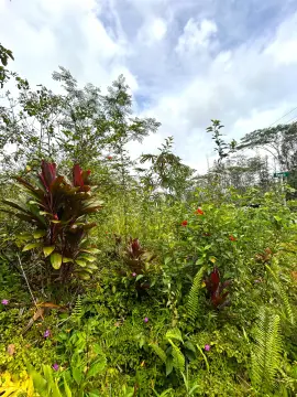 Ready-to-Build Lot in Nanawale Estates