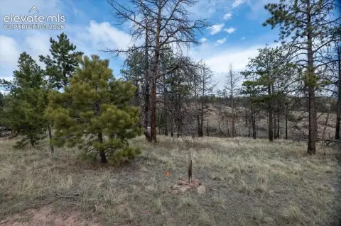 Gently Sloping Residential Land Lot