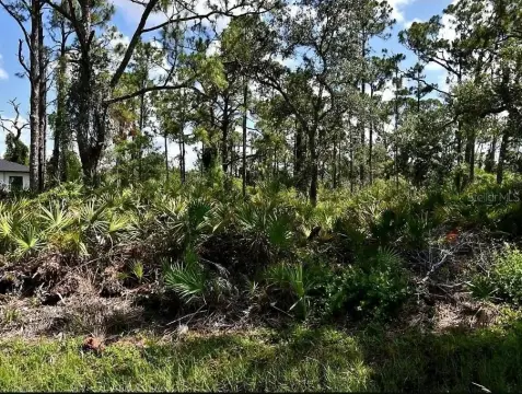Residential Land in North Port