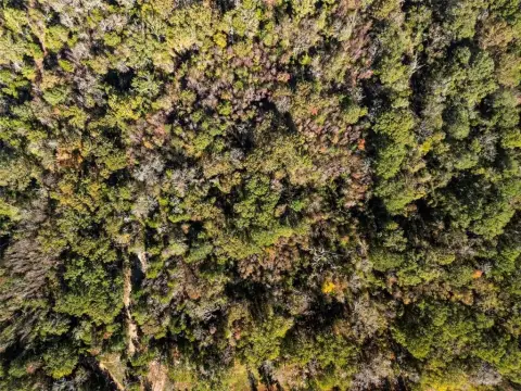 Secluded Land in Chandler, TX