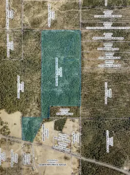 Wooded Hunting Land