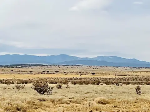 Expansive Land in Eagle Ranch