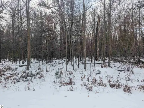 Wooded Lot in Prescott, MI