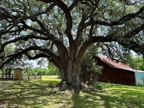 Brenham Farm with Mature Oaks