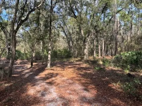 Rancho Bonito Wooded Lot