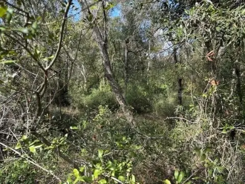 Rancho Bonito Acreage Available