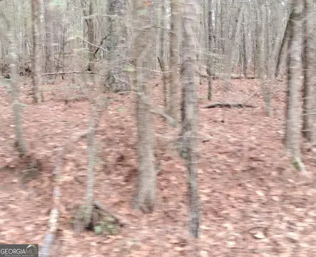 Residential Lot in Snellville, GA