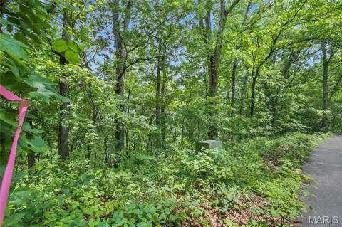 Corner Residential Acreage Lot