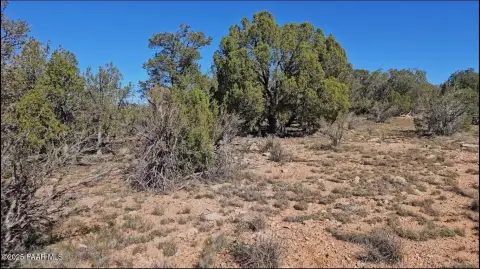 Seligman Treed Land For Sale