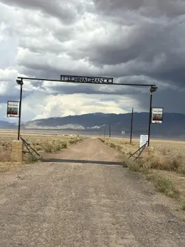 Mostly Level Homesite Land Parcel