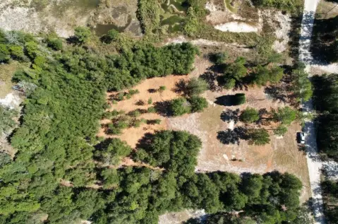 Partially Cleared Hunting & Recreation Land