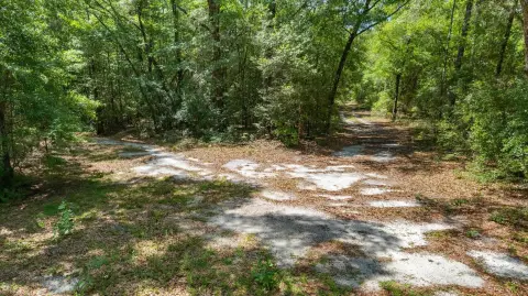 Timberland Recreation Tract