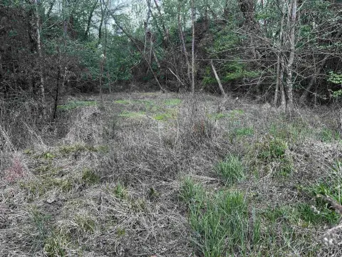 Russellville Acreage with Development Potential