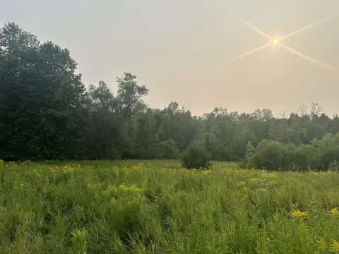 Waterfront Land in Brasher Falls