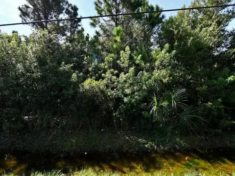 Residential Land in St. Lucie