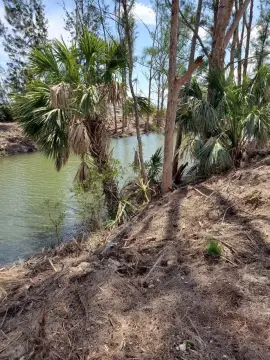 Waterfront Land in Cape Coral