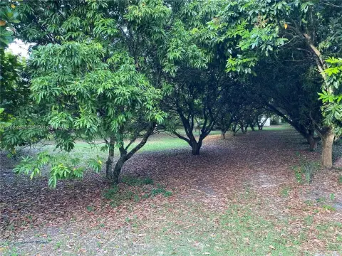 Income-Producing Fruit Tree Farm