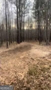 Land For Sale in Sparta