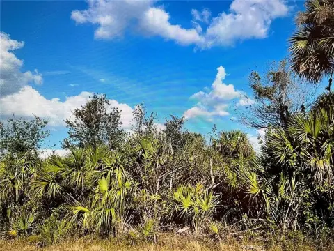 Residential Lot Near Gulf Coast