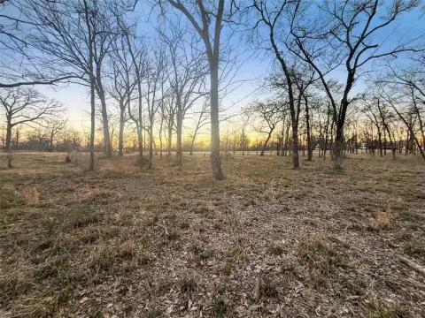 Sulphur Springs Land with Trees