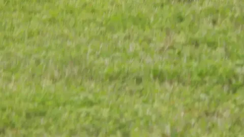 Residential Lot in Hensley, AR