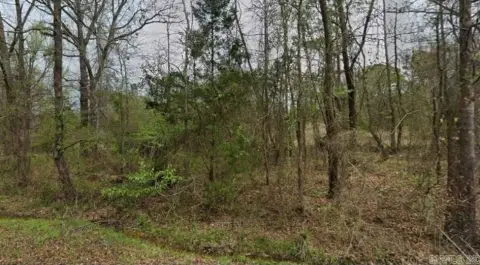 Residential Lot in Camden, AR