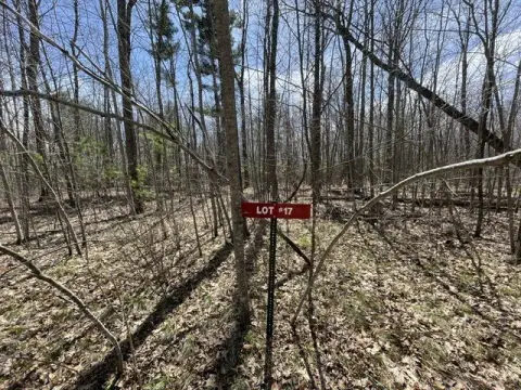 Osprey Lake Waterfront Land