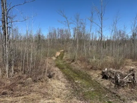 Ojibwa Wilderness Land For Sale