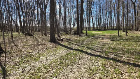 Rice Lake Vacant Land Parcel