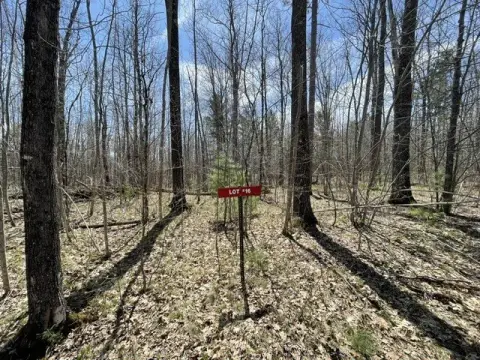 Osprey Lake Waterfront Land