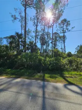 Residential Lot in Palm Coast