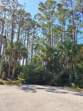 Residential Lot in Palm Coast